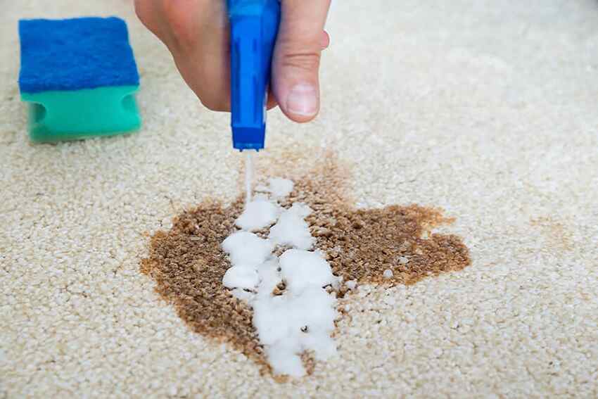 DIY Carpet Cleaning