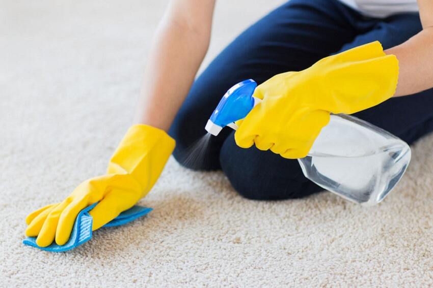 Carpet Cleaning Guide